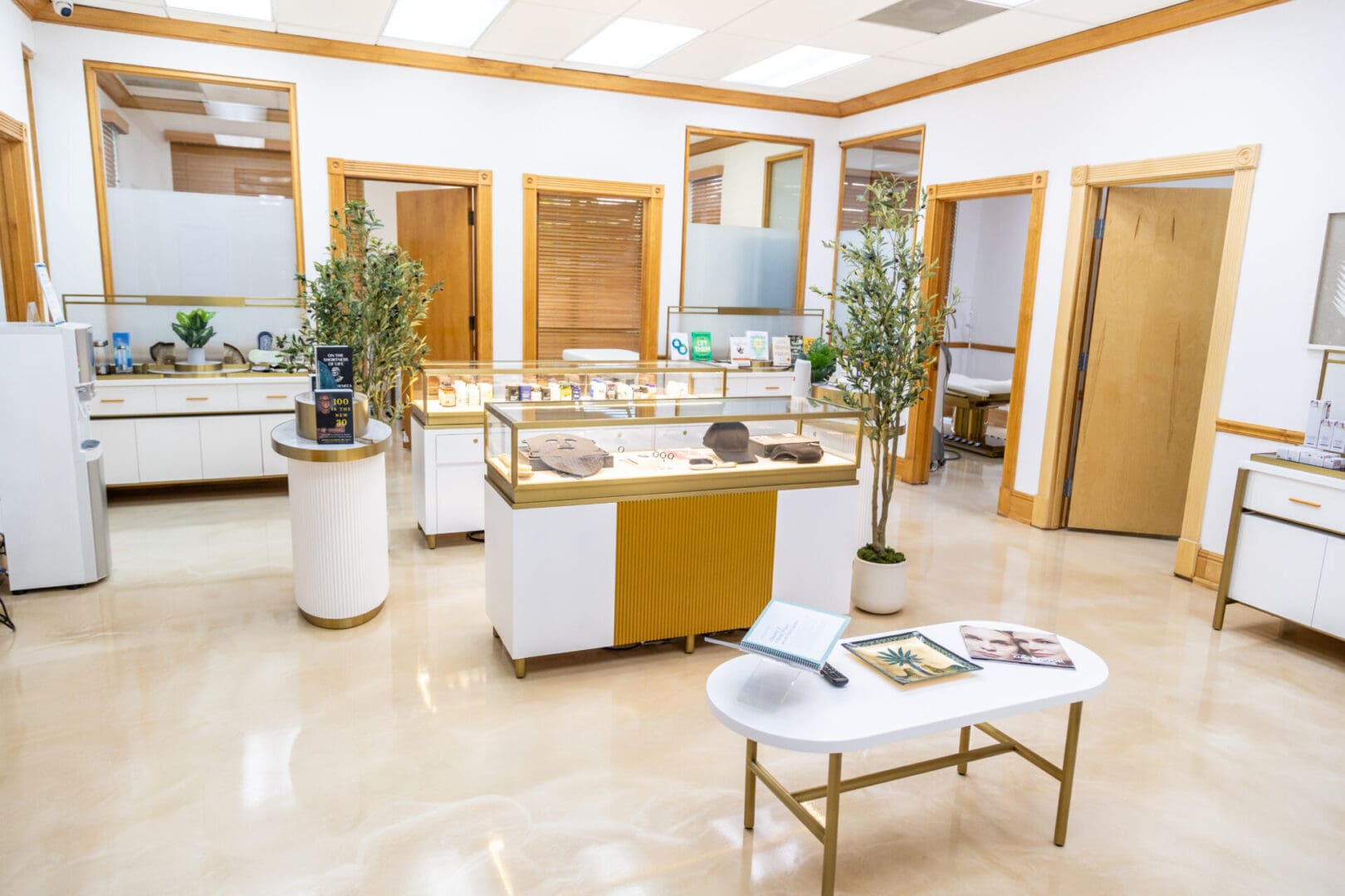 Bright, modern store interior with display cases.